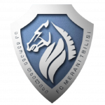 Маргвети 2006