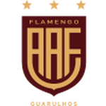 Фламенго СП U20